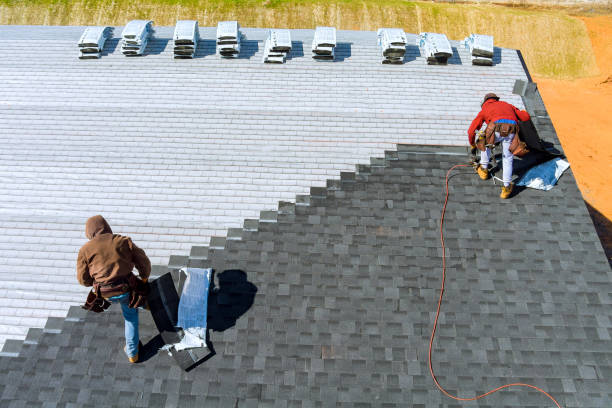 Best Metal Roofing Contractor  in Nebo, NC