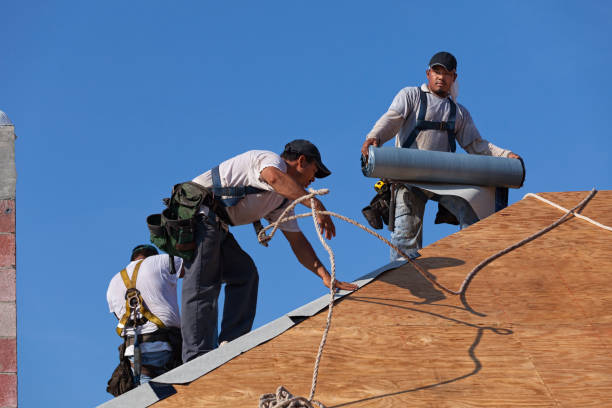 Best Roof Waterproofing Services  in Nebo, NC