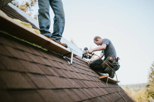 Best Roof Leak Repair  in Nebo, NC